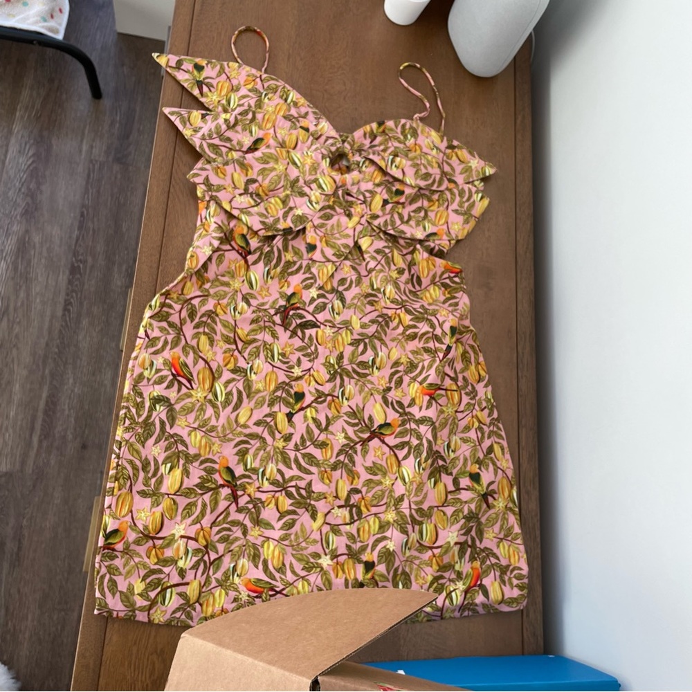 Farm Rio light pink star fruit pattern mini dress size S